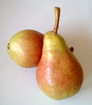 Carmen Pear