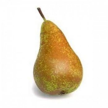 Conference Pear Conference Pear