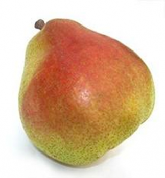 Decana Del Comizio Pear