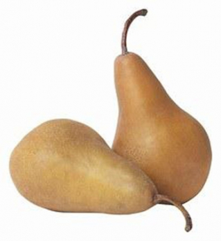 Kaiser Alexander Pear