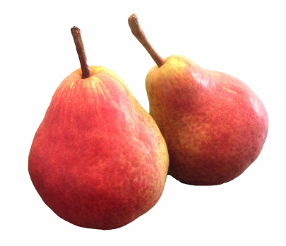 Max Red Barlett Pear