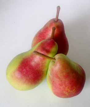 Butirra Precoce Morettini Pear